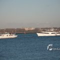 IMG_1205495