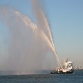 IMG_1205524