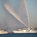 IMG_1205558