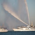 IMG_1205559