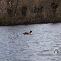 IMG_1205762