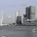 IMG_1205803