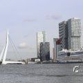 IMG_1205804