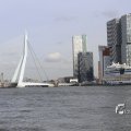 IMG_1205811