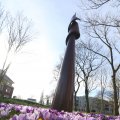 IMG_1206012