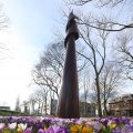 IMG_1206015