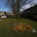 IMG_1206064