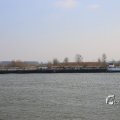 IMG_1207446