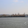 IMG_1207447