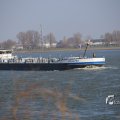 IMG_1207458