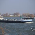 IMG_1207461