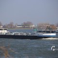 IMG_1207462