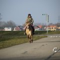 IMG_1207468