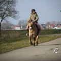 IMG_1207470