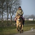 IMG_1207473