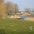 IMG_1207474