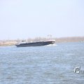 IMG_1207478