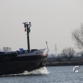 IMG_1207481