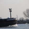 IMG_1207482