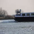 IMG_1207484