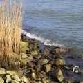 IMG_1207485