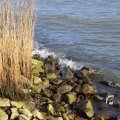 IMG_1207486