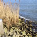 IMG_1207488
