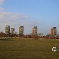 IMG_1207575