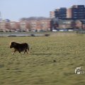 IMG_1207579