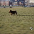 IMG_1207580