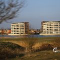 IMG_1207583