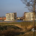 IMG_1207584