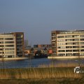 IMG_1207585