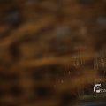 IMG_1207589