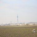 IMG_1207606