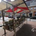 IMG_1214239