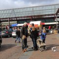 IMG_1214341