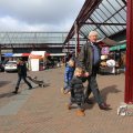 IMG_1214344
