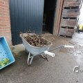 IMG_1214698
