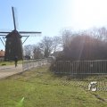 IMG_1216605
