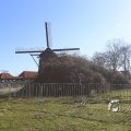 IMG_1216607