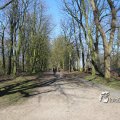 IMG_1216624