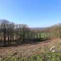 IMG_1216629