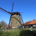 IMG_1216634