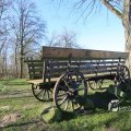 IMG_1216636