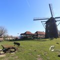 IMG_1216650