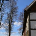 IMG_1216669