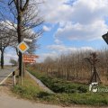 IMG_1216680
