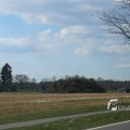 IMG_1216686