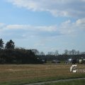 IMG_1216687